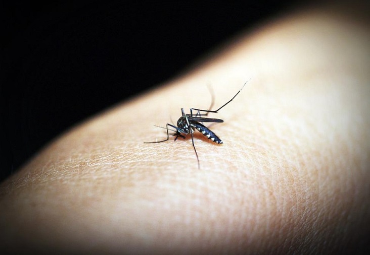 Segundo especialistas, a principal medida de combate à dengue em condomínios é a inspeção periódica nas áreas comuns.